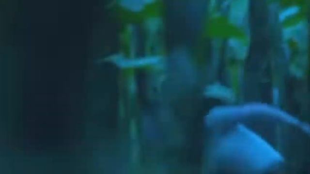 TROPIX Hollywood Crime Movie Full length in English. смотреть онлайн