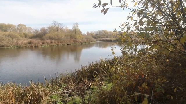 Фотоохота с Альбертом. Мой суперприз. смотреть онлайн