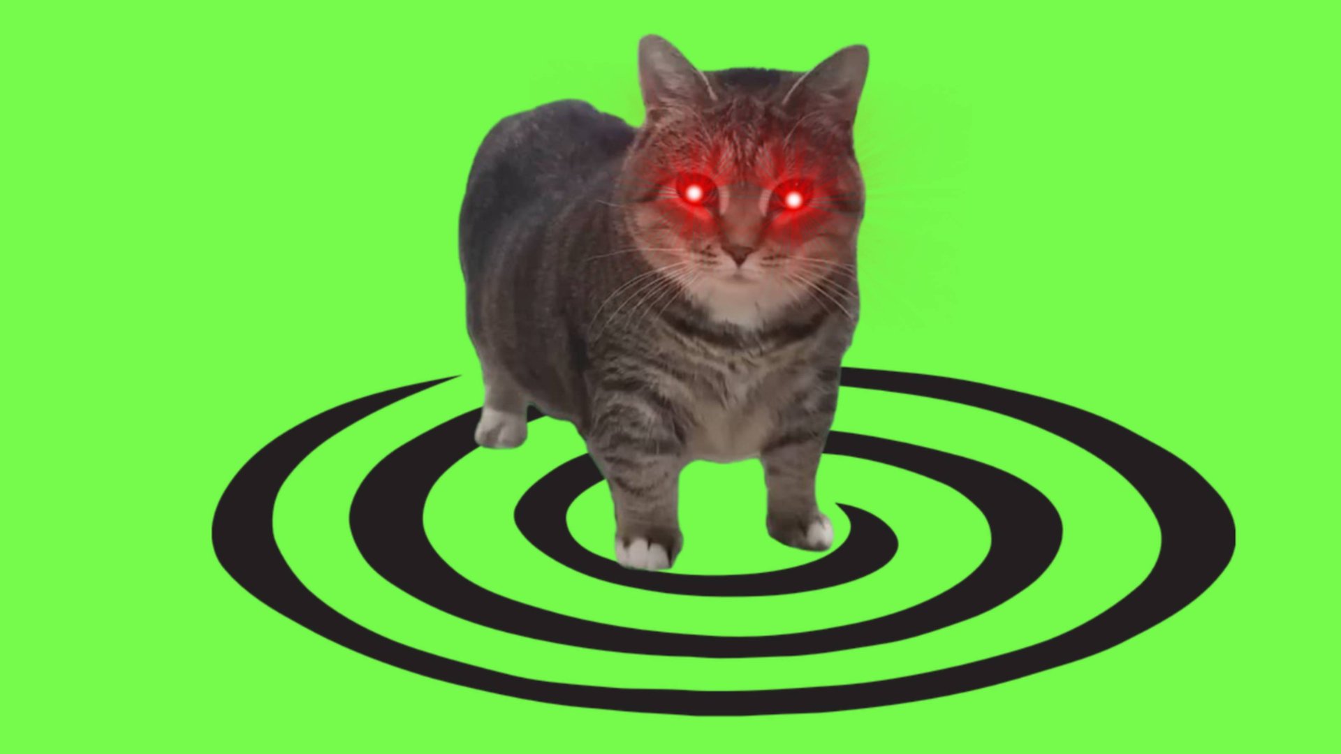 🔴 OR3H1N & DJ Troll - OiiA OiiA (Spinning Cat) Hard Techno, Schranz Remix (2025) смотреть онлайн