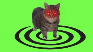 🔴 OR3H1N & DJ Troll - OiiA OiiA (Spinning Cat) Hard Techno, Schranz Remix (2025)