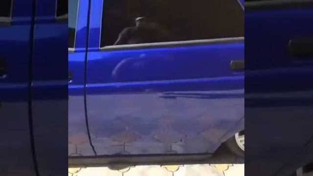 ВАЗ 2110 На Пневме Голубая Лагуна смотреть онлайн