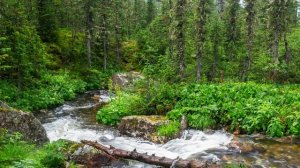 Путешествие в страну чудес Ергаки,часть2, Водопад Жемчужный и река Малая Буйба