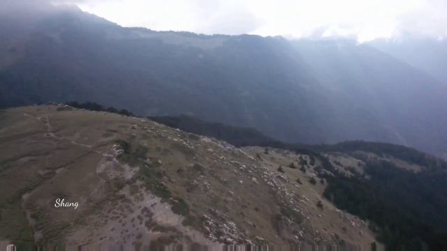 合歡山北峰 高山杜鵑花20220505 申請編號P202205010027 смотреть онлайн