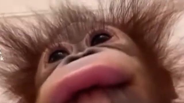 Babe ur so beautiful ( Bae when she opens her camera) смотреть онлайн