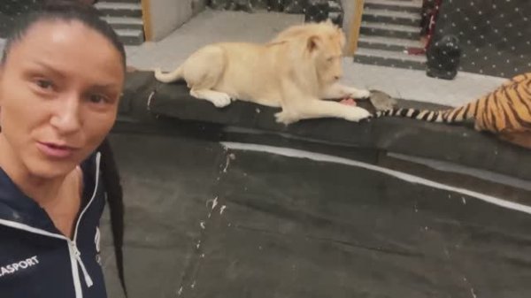 Вопрос-Ответ (ТигроМания Tigromania)