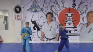 9 КЮ КУДО ОЛИМП (для аттестации)