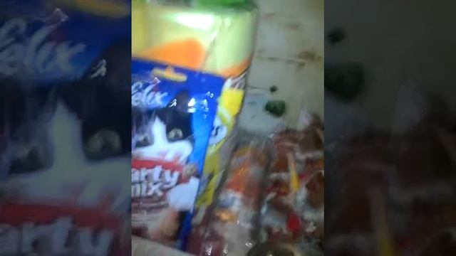 Мои покупки из Ермолино и пятёрочки 💜🐈 смотреть онлайн