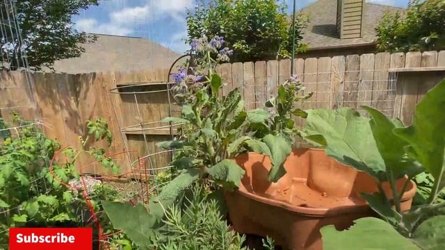 April Garden Tour (Gardening in Small Spaces) смотреть онлайн