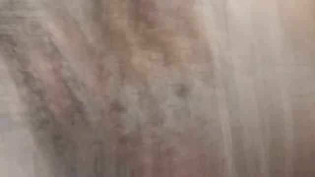 Look FLORAL no Provador - FAST FSHION - Deise Pereira смотреть онлайн