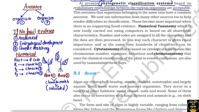 Plant Kingdom Biology class 11th NCERT line by line||NEET Biology||Part 1. смотреть онлайн