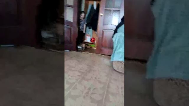 моя кошка смотреть онлайн