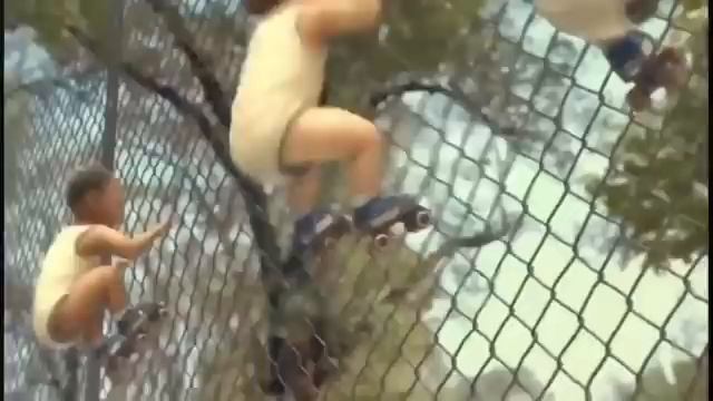 музыка Beby Dace