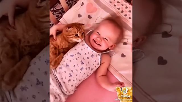 Рыжик- лучший друг!!! смотреть онлайн