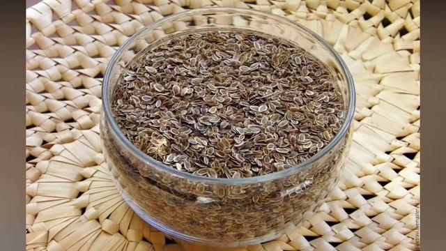 Shivit (ukrop) Urug'ining Ming Foydasini Bilib Oling ...