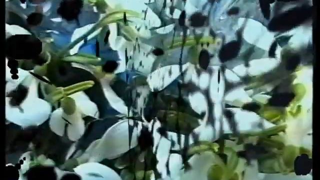 ТАМАРА ФИДАРОВА 