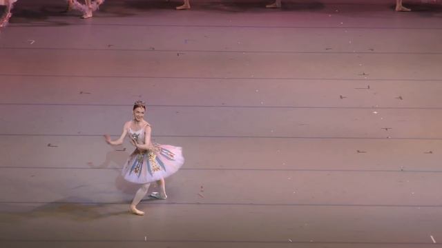 12/12/18 Somova, Yevseyeva and a little bit of amazing Le Jardin Animé смотреть онлайн