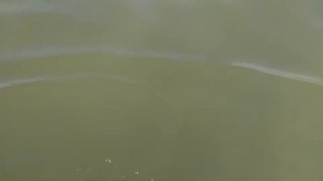 Umbrella beach смотреть онлайн