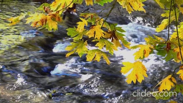 Екклесиаст глава 7. смотреть онлайн