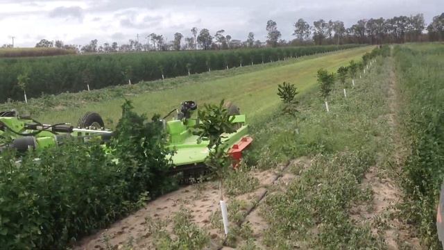 5024 Side Eject Working in macadamia plantation смотреть онлайн