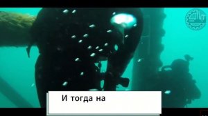 Ежегодно 16 февраля в Вооруженных силах России отмечается День разведки Военно-Морского Флота.