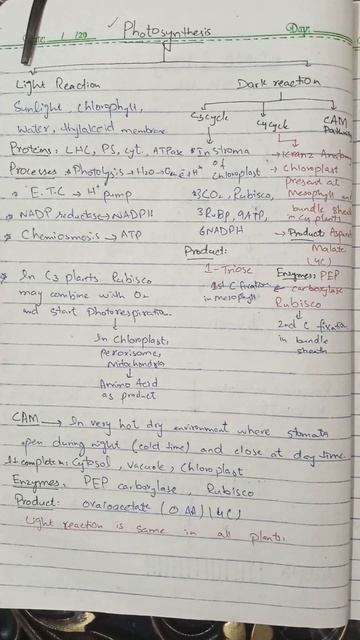 Light reaction & Dark reaction of Photosynthesis in C3,C4 &CAM plants #photosynthesis смотреть онлайн