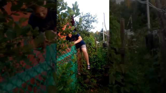 Ягода малина смотреть онлайн