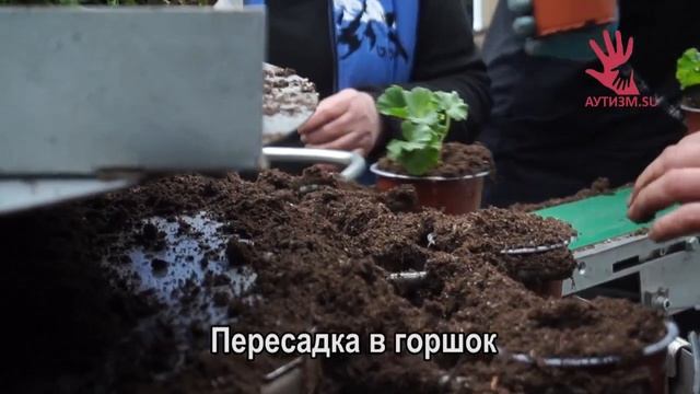 Обучающее видео 