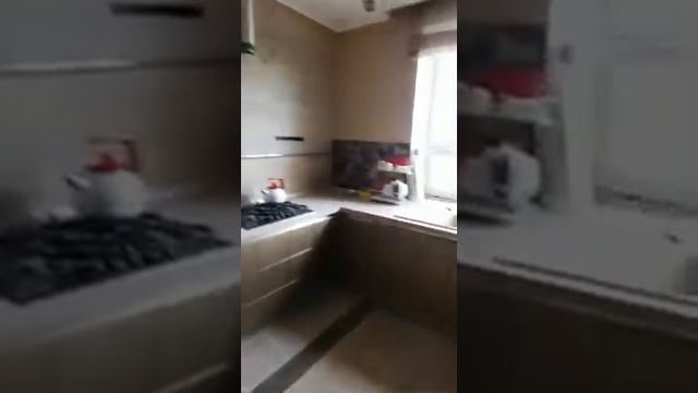 видео Волкова смотреть онлайн