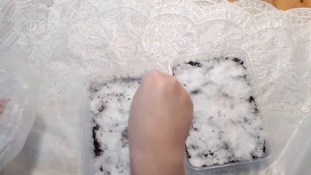 Петуния на рассаду. Посев на снег смотреть онлайн