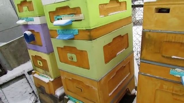 минимум осмотров пчел, минимум постановки вощины и минимум обработок от клеща - улей малоформатный смотреть онлайн