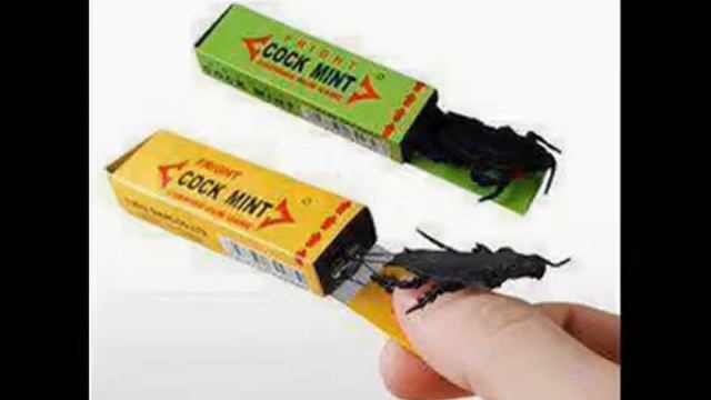 Маша Катаева Собака смотреть онлайн