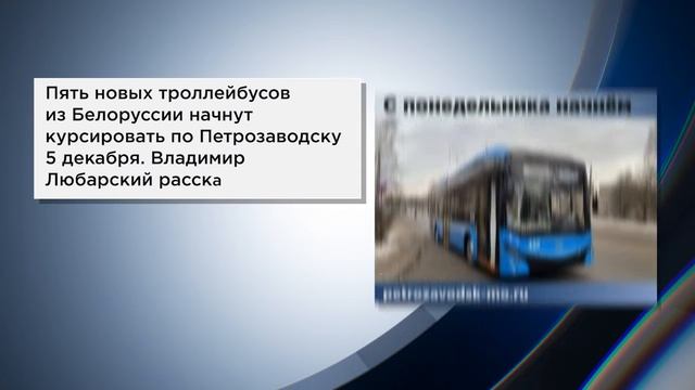 Специалисты по защите леса изучают карельские шишки, об этом и не только расскажем коротко смотреть онлайн