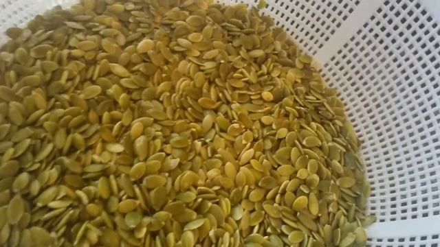 How to Sprout Pumpkin and Sunflower Seeds for Optimal Nutrition смотреть онлайн