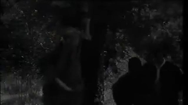 1965 La Mandragola psywitchcult смотреть онлайн