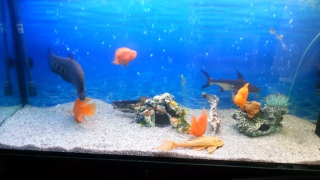 20130124_140809.mp4 смотреть онлайн