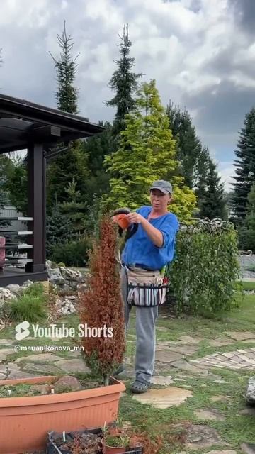 Когда впервые за много лет все сошлось. смотреть онлайн