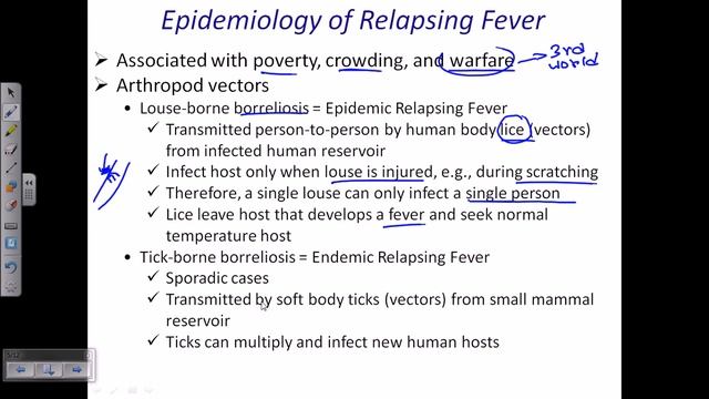 Borrelia sp смотреть онлайн
