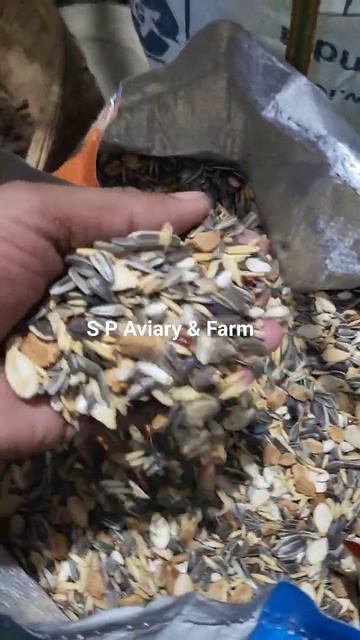 Conure seedmix #conure #seedmix смотреть онлайн