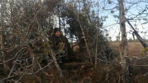 Рыбалка и охота на севере. Весенняя охота на гуся.