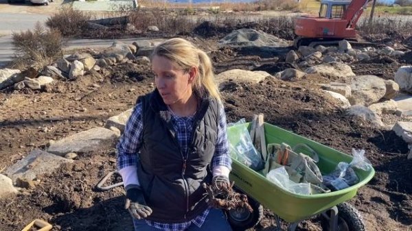 Planting Peonies for Spring 2023 | Tips for saving money and finding unique varieties