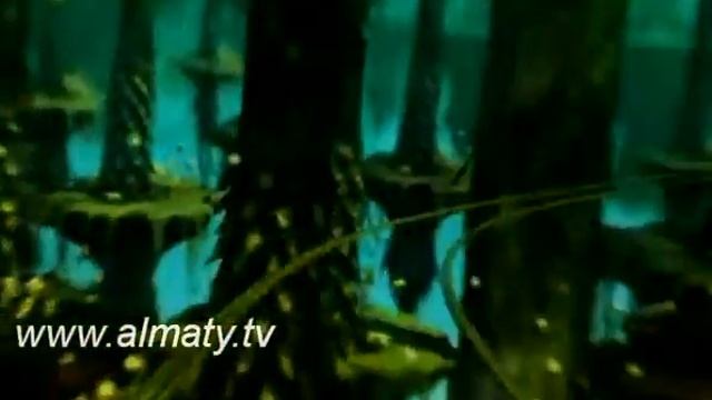 Афиша 22 смотреть онлайн