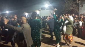 Гр Кабутарон Туй дар дехаи Чапаев.Тел:93 776 19 55.Сарвиноз ва Умеда Кабировахо.