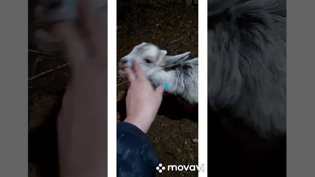 Я не исчезла смотреть онлайн