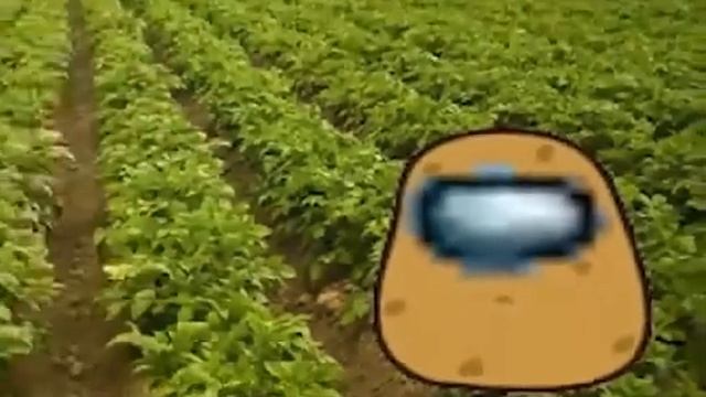 POTATUS смотреть онлайн