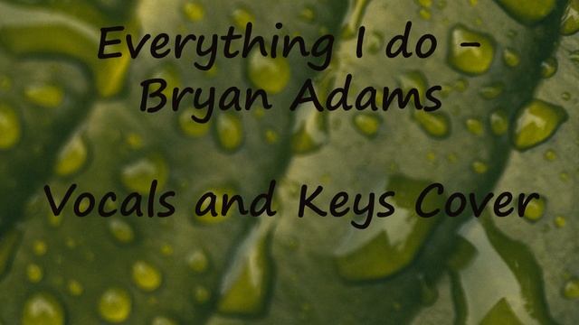 Everything I Do - Bryan Adams (Piano and Vocal Cover) смотреть онлайн