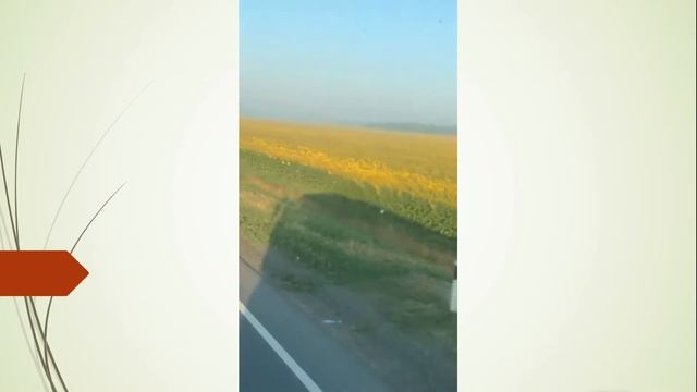 У комбайна мотор накрылся. смотреть онлайн