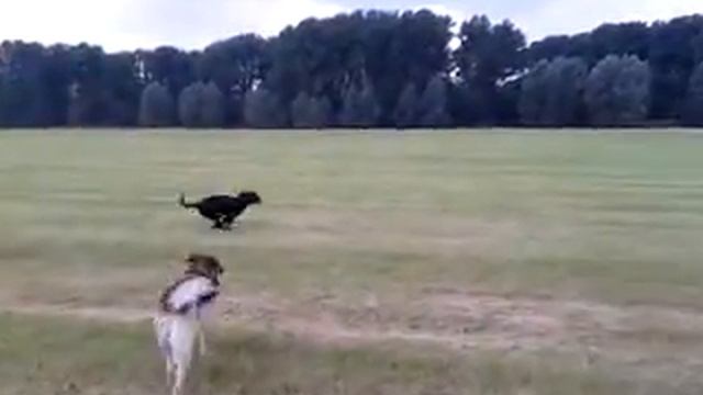 Flanny und Lili смотреть онлайн