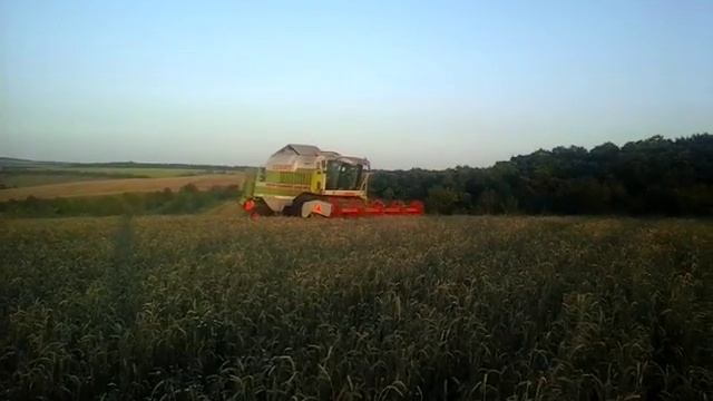 Claas mega 218 Воронежские холмы мега 218 клаас смотреть онлайн