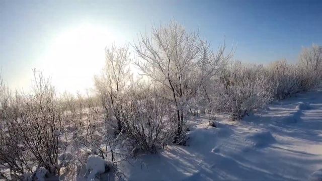 Охота на касулю. Знакомство с вами. смотреть онлайн