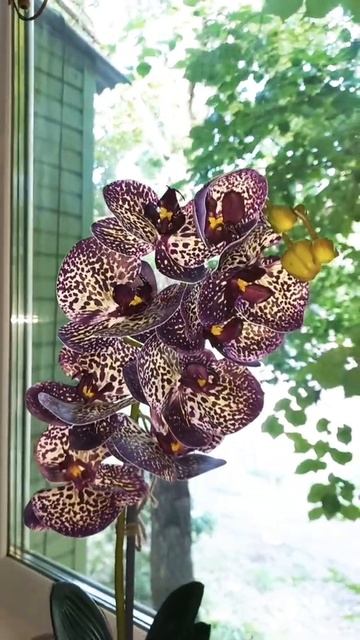 9 июля 2022 г. смотреть онлайн